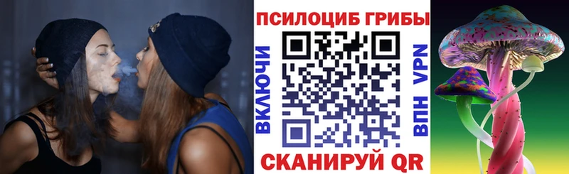 Псилоцибиновые грибы Psilocybine cubensis  Можайск 